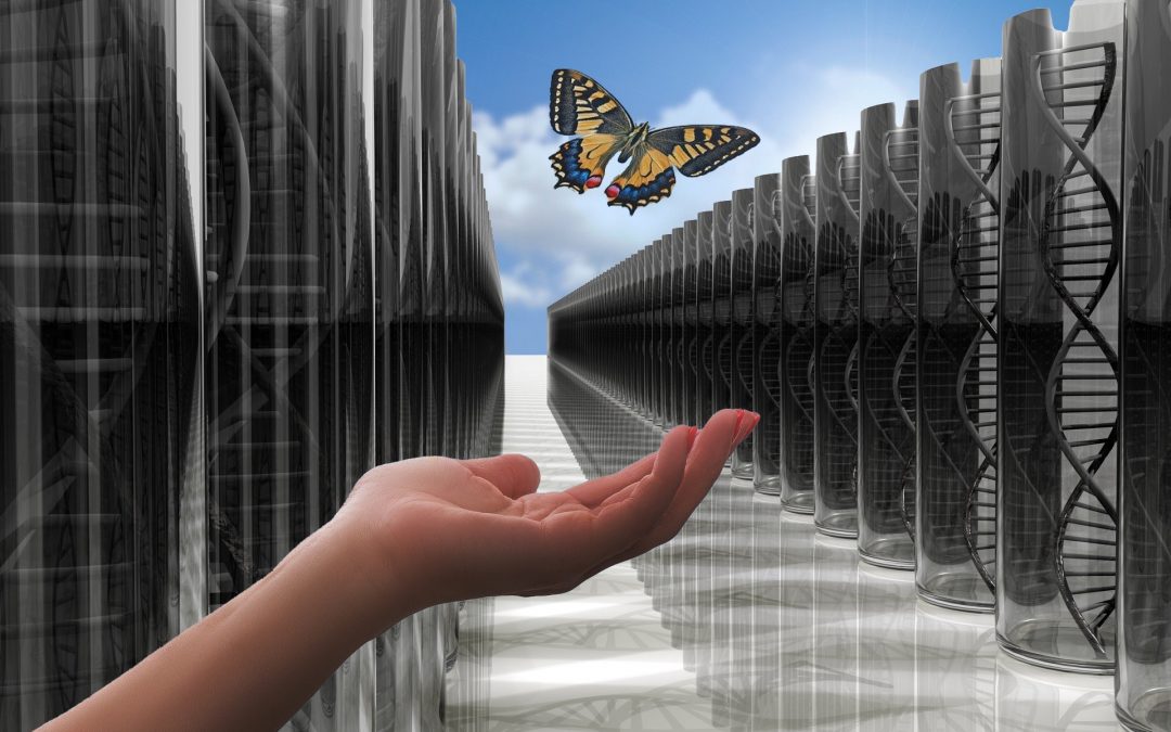 XI Jornada Gido: “El efecto mariposa en Cáncer de Pulmón, más allá de la Pandemia”