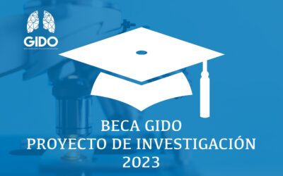 Convocatoria Beca GIDO Proyecto de Investigación 2023