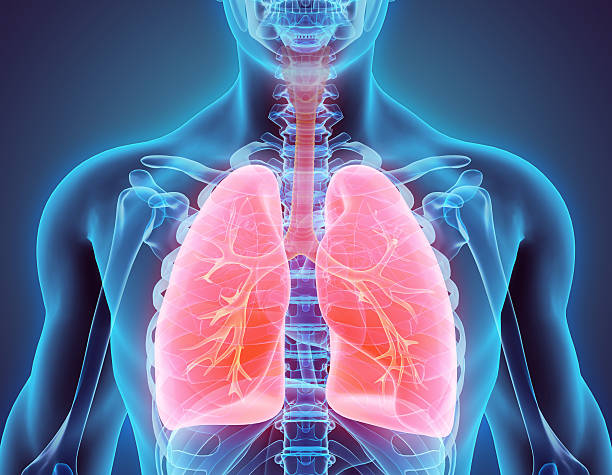 Radioinmunoterapia en adenocarcinoma de pulmón oligometastásico con masa bulky compleja y pdl-1 negativo: técnica pathy.